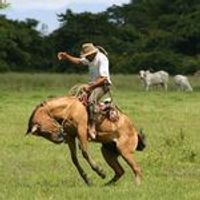 Llanos Colombianos - Villavicencio, Colombia Instagram influencer profile picture