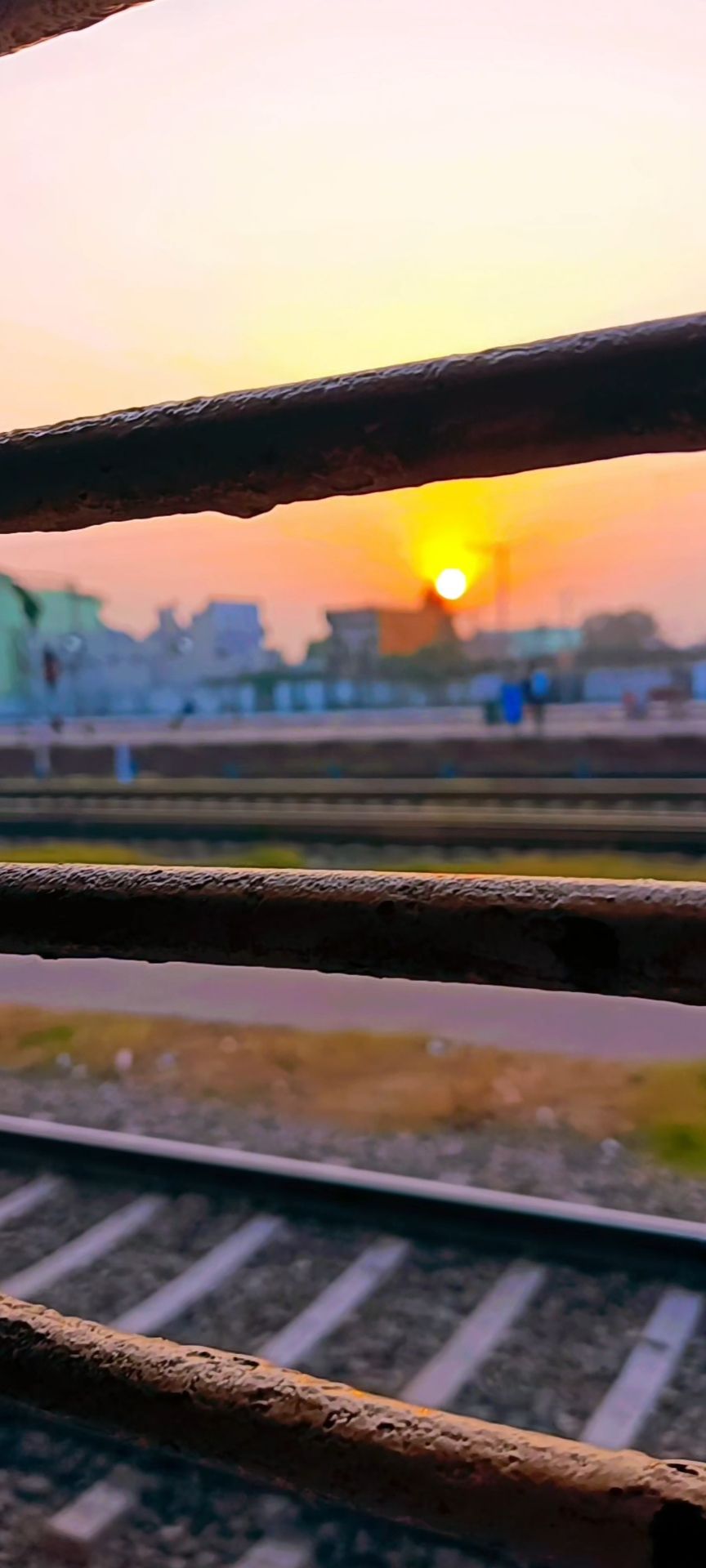 Aman Kumar cover image on socialveins portfolio