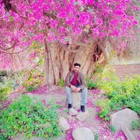 HONEY🔄🦅 - Jalandhar, India Instagram influencer profile picture
